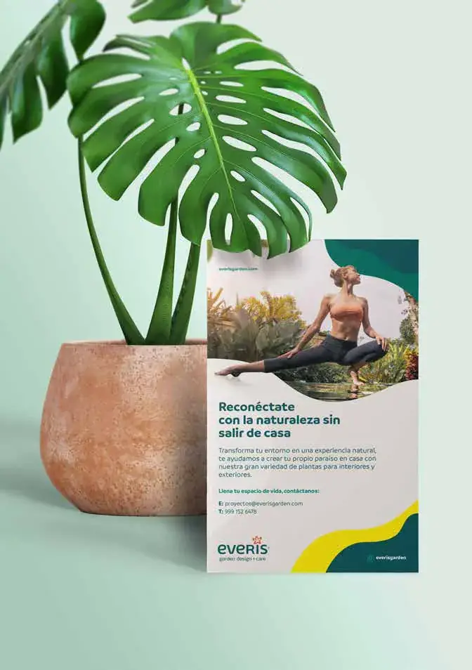 Everis, aplicación 2