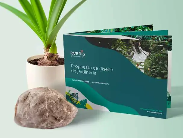 Everis, aplicación 3