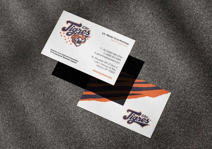 Tigres de Quintana Roo, aplicación 1