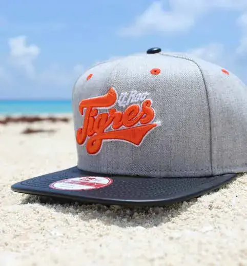 Tigres de Quintana Roo, aplicación 2
